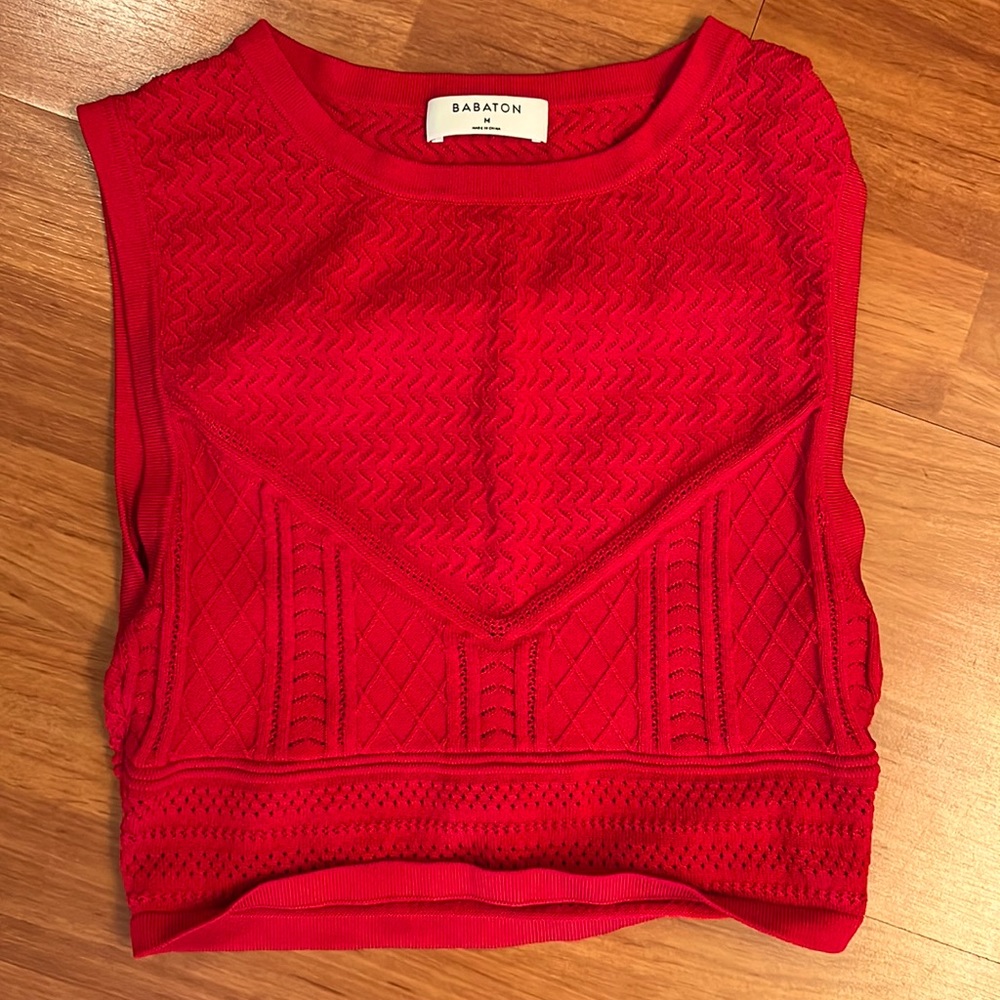 NWOT Babaton fitted tank